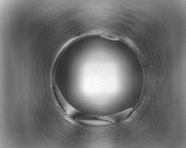 X0000067000854200604072147