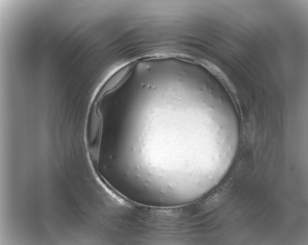 X0000067000855200604072147