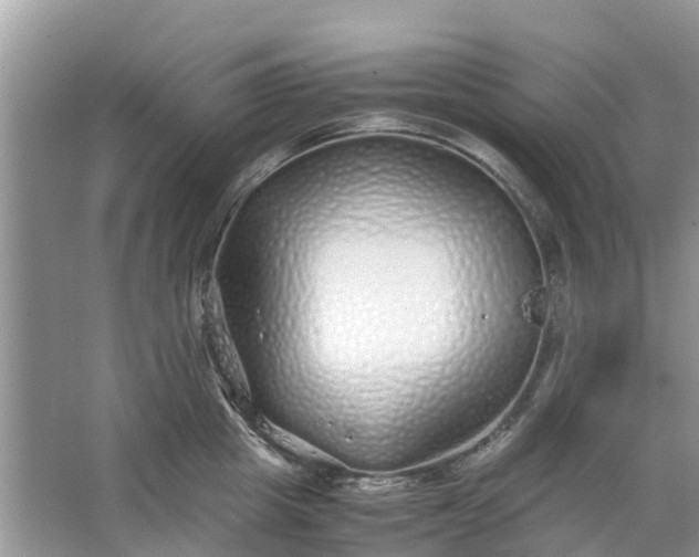 X0000067000857200604072147