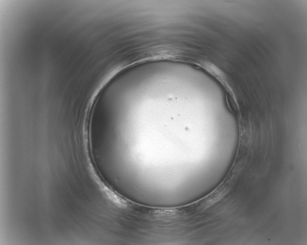 X0000067000859200604072147