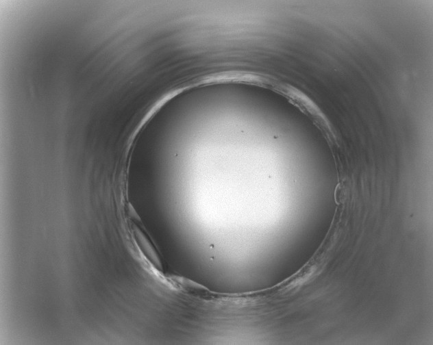 X0000067000860200604072147