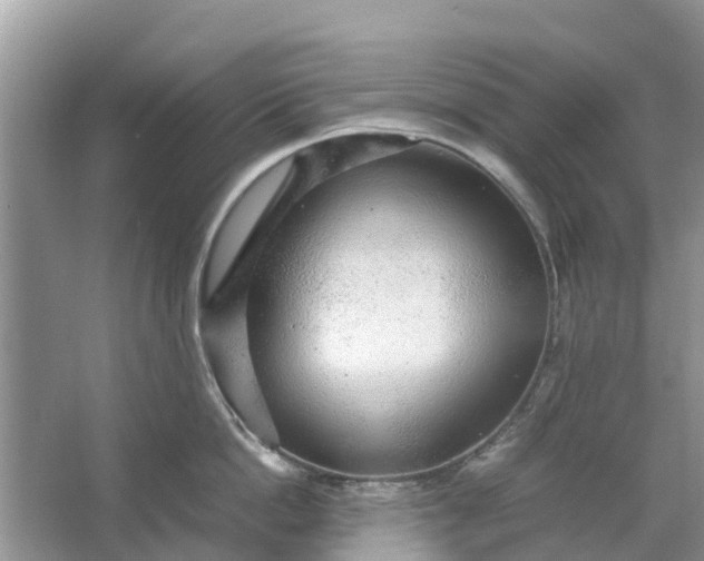 X0000067000862200604072147