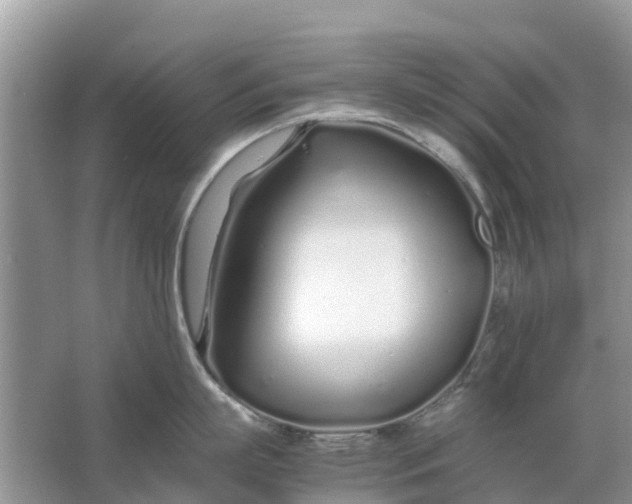 X0000067000863200604072147