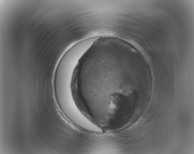 X0000067000864200604072147