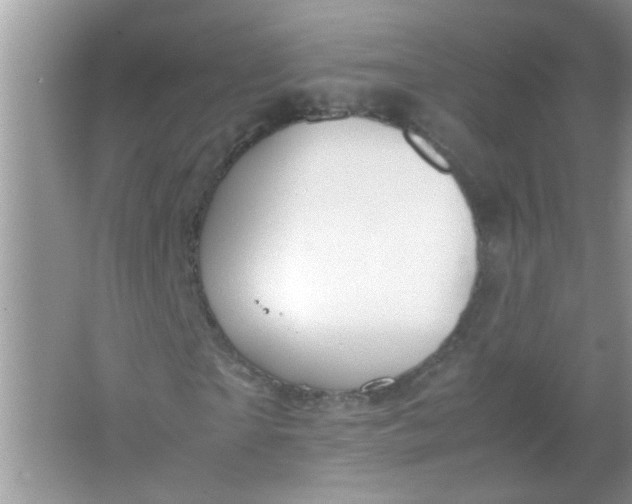 X0000067000865200604072146