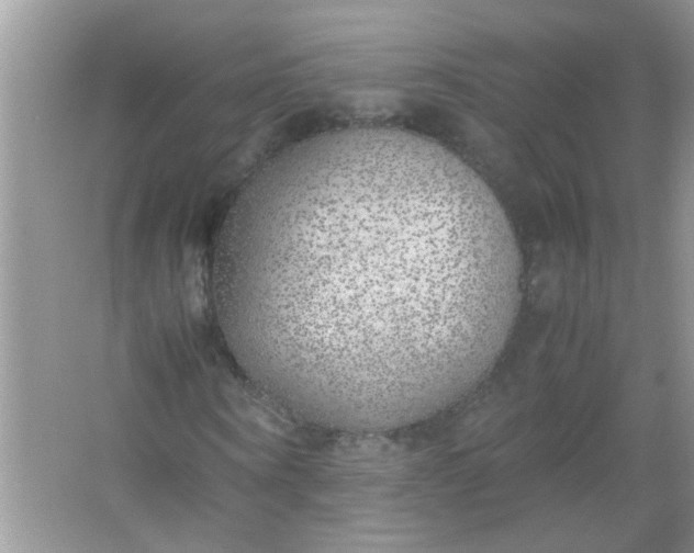 X0000067000866200604072146