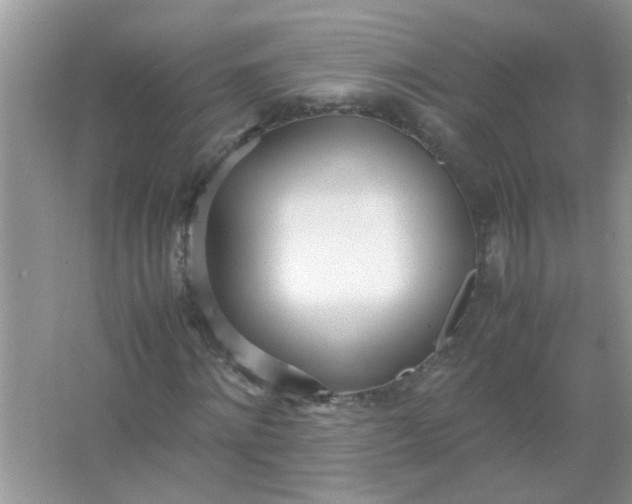 X0000067000868200604072146