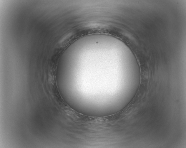 X0000067000869200604072146