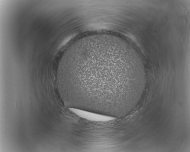 X0000067000871200604072146