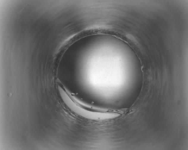 X0000067000872200604072146