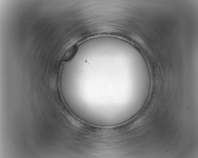 X0000067000873200604072146