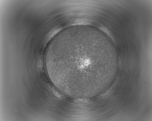 X0000067000874200604072146