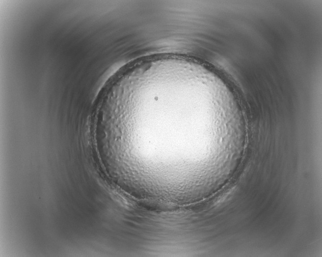 X0000067000875200604072146