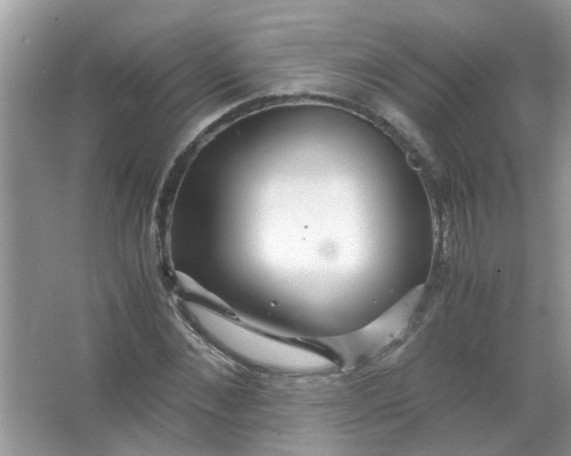 X0000067000876200604072146