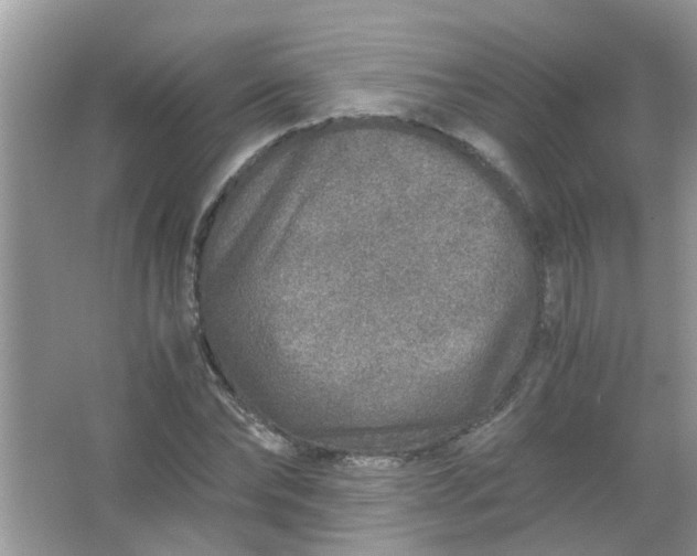 X0000067000878200604072146