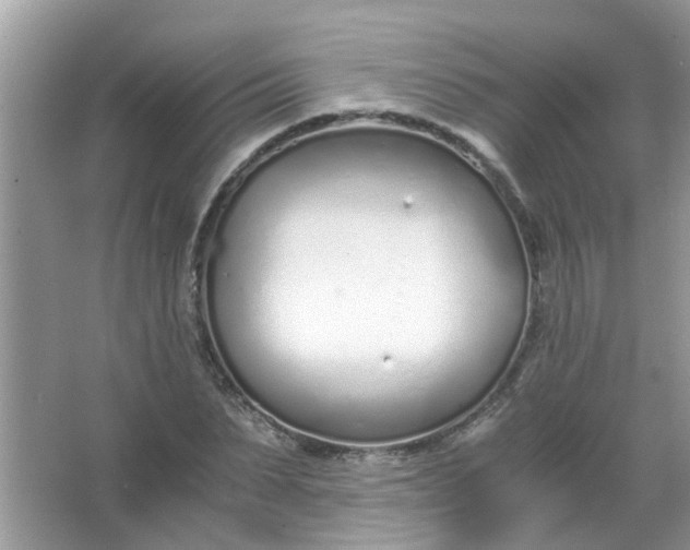 X0000067000879200604072146