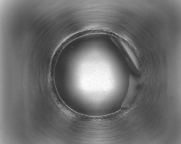 X0000067000880200604072146