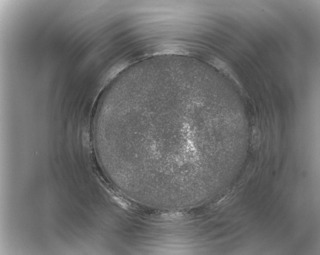 X0000067000882200604072146