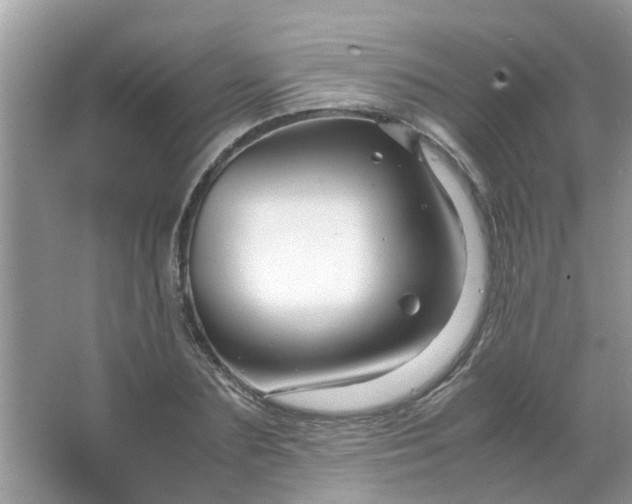 X0000067000883200604072146