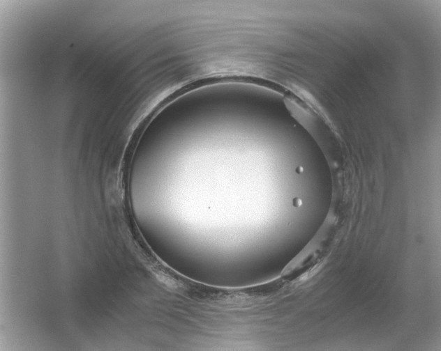 X0000067000885200604072146