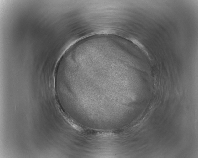 X0000067000886200604072146