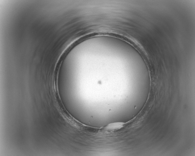 X0000067000887200604072146