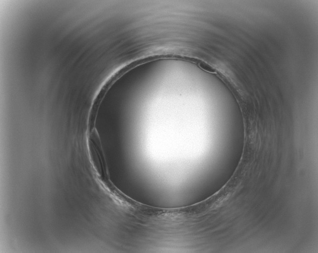 X0000067000888200604072146