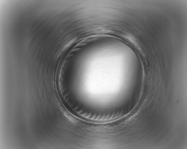 X0000067000889200604072146