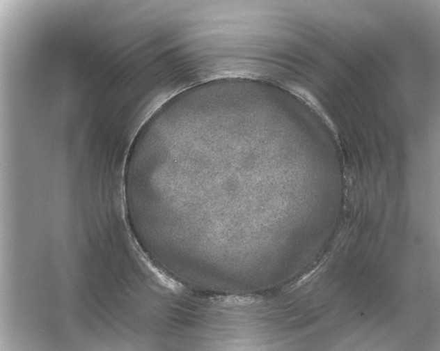 X0000067000890200604072146