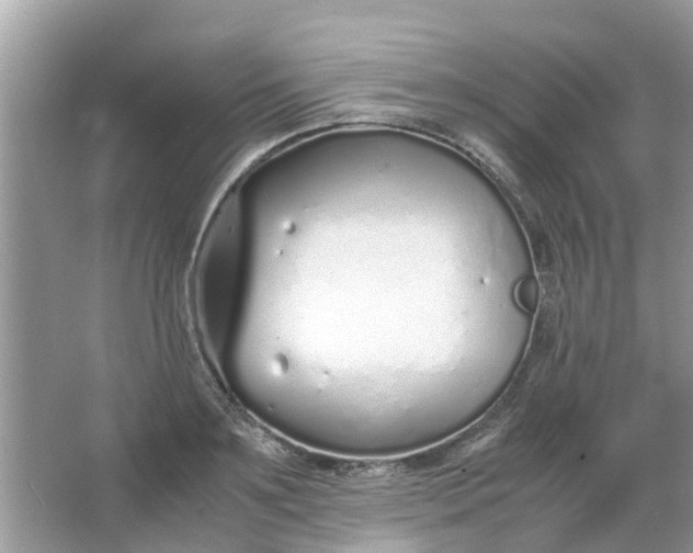 X0000067000891200604072146