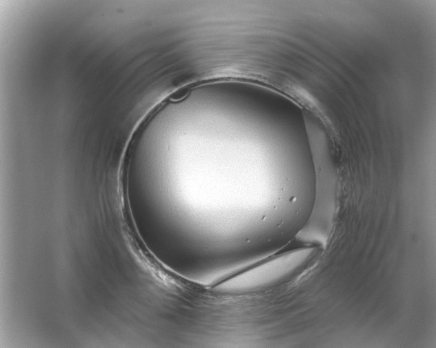 X0000067000892200604072146