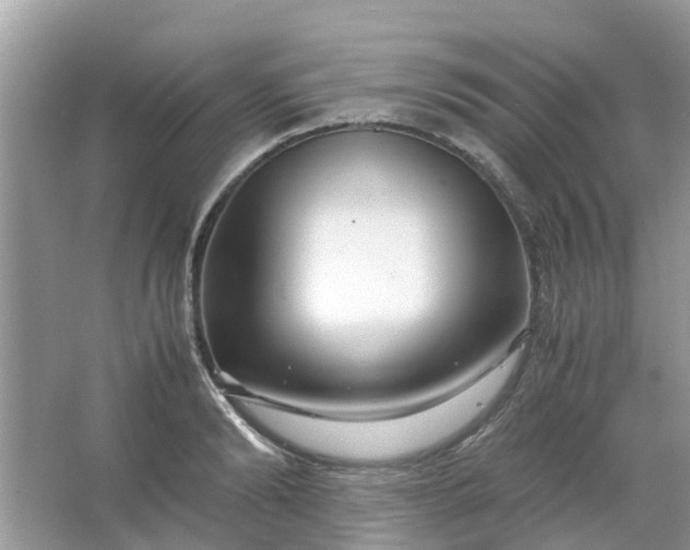 X0000067000894200604072146