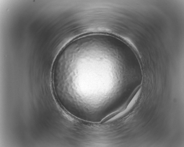 X0000067000895200604072146