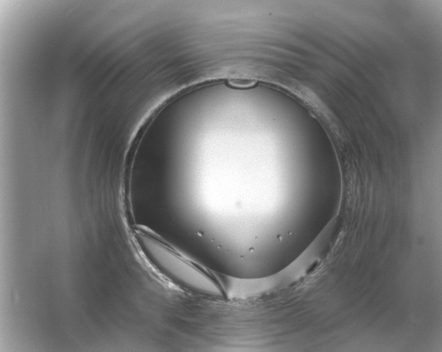 X0000067000896200604072146