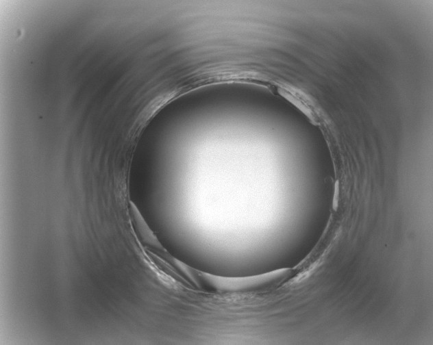 X0000067000897200604072146