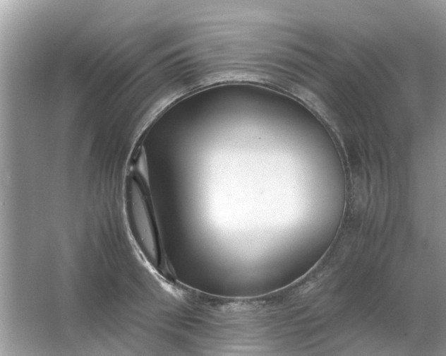 X0000067000898200604072146