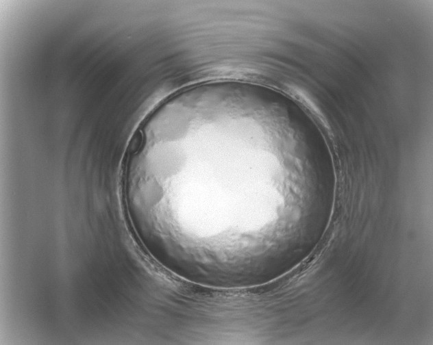 X0000067000899200604072146