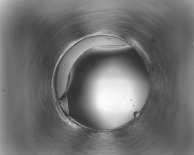 X0000067000900200604072146