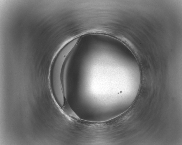 X0000067000902200604072146