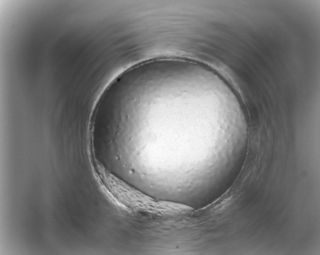 X0000067000903200604072146