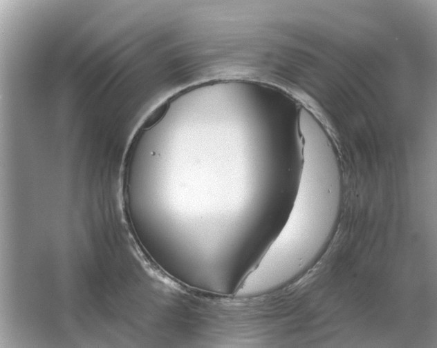 X0000067000904200604072146