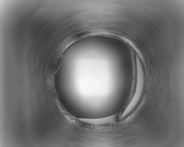 X0000067000905200604072146