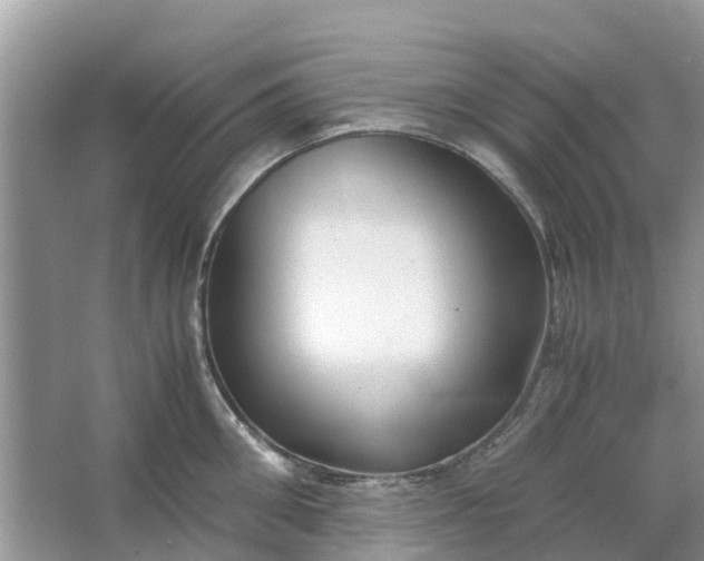 X0000067000906200604072146