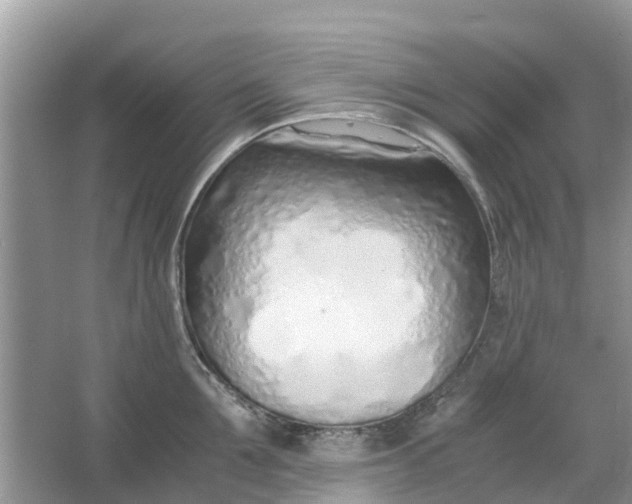 X0000067000907200604072146