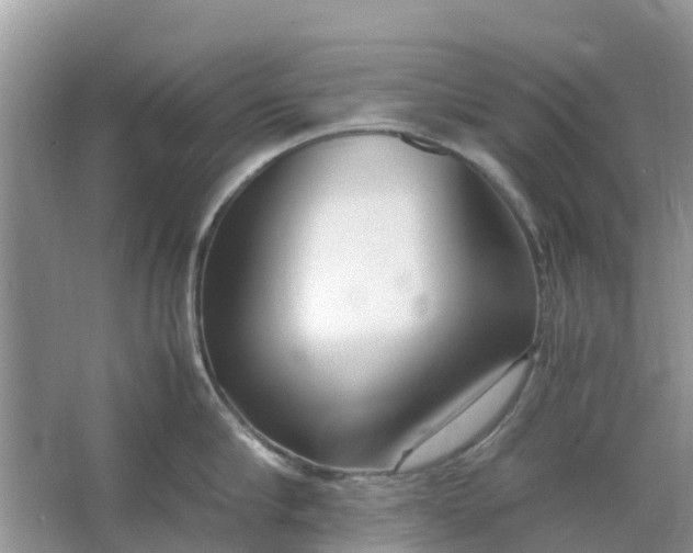 X0000067000910200604072146