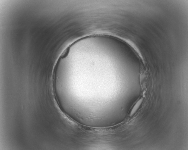 X0000067000911200604072146