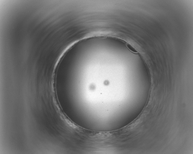 X0000067000912200604072146