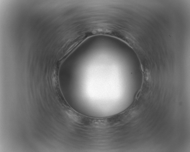 X0000067000915200604072145