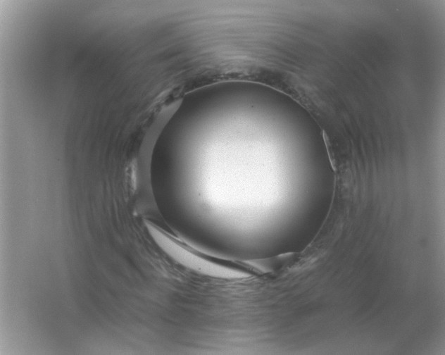 X0000067000916200604072145