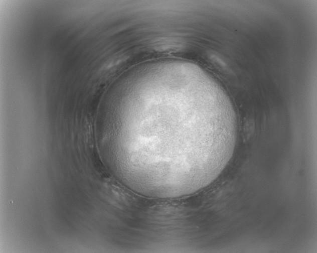 X0000067000917200604072145